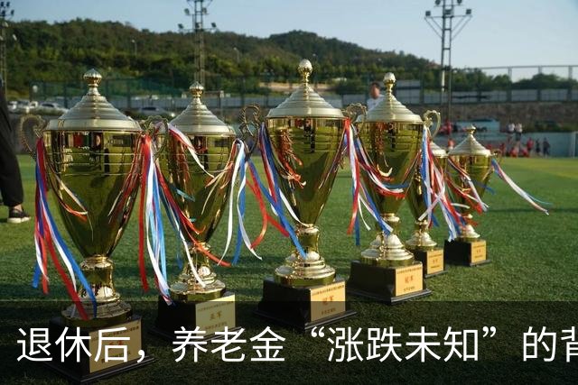 退休后，养老金“涨跌未知”的背后故事